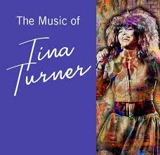Tina Turner — NWI Symphony